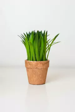 PLANTA ARTIFICIAL "FER" CON MACETA CHICA en internet