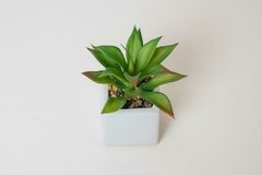 MACETA "SUCULENTA" BLANCA CON PLANTA ARTIFICIAL CUADRADA - comprar online