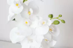 Imagen de PLANTA ARTIFICIAL "MARLENE" CON MACETA DE CERAMICA