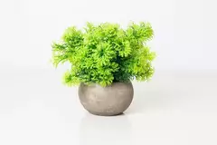 MACETA DE CERAMICA BLANCA CON PLANTA ARTIFICIAL TREE #2 - tienda online