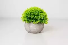 Imagen de MACETA DE CERAMICA BLANCA CON PLANTA ARTIFICIAL TREE #2