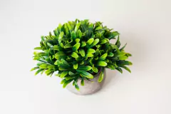 MACETA DE CEMENTO CON PLANTA ARTIFICIAL TREE GRANDE - tienda online