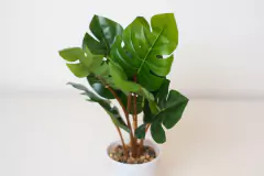 PLANTA ARTIFICIAL "JULY" CON HOJAS MONSTERA Y MACETA BLANCA en internet