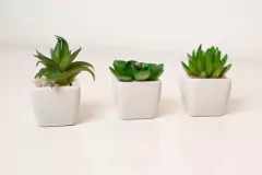 PLANTA ARTIFICIAL "SUCULENTA" MINI - tienda online