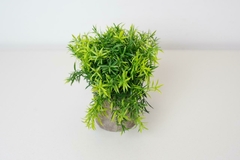 PLANTA ARTIFICIAL "RAQUEL" CON MACETA GRIS DE CEMENTO - comprar online