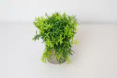 PLANTA ARTIFICIAL "RAQUEL" CON MACETA GRIS DE CEMENTO en internet