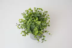 PLANTA ARTIFICIAL "RAQUEL" CON MACETA GRIS DE CEMENTO