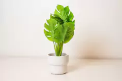 PLANTA ARTIFICIAL "JULIA" CON MACETA DE CERAMICA - comprar online