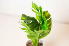 PLANTA ARTIFICIAL "JULIA" CON MACETA DE CERAMICA en internet