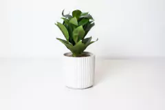 PLANTA ARTIFICIAL "LUZ" CON MACETA DE CERAMICA - comprar online