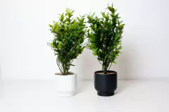 PLANTA ARTIFICIAL "POLA" CON MACETA DE CERAMICA