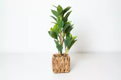 PLANTA ARTIFICIAL "ZUMAYA" CON MACETA CUADRADA 30 CM - comprar online