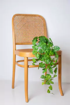 PLANTA ARTIFICIAL "JIME" #3 COLGANTE CON MACETA DE CERAMICA BLANCA 50 CM