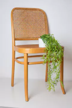 PLANTA ARTIFICIAL "JIME" #2 COLGANTE CON MACETA DE CERAMICA BLANCA 50 CM - comprar online