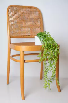 PLANTA ARTIFICIAL "JIME" #2 COLGANTE CON MACETA DE CERAMICA BLANCA 50 CM en internet