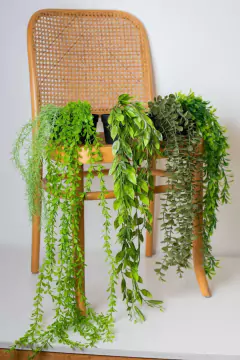 PLANTA COLGANTE "RITA" #1 CON MACETA PLASTICA NEGRA 70cm en internet