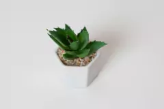 MACETA HEXAGONAL "SUCULENTA" BLANCA CON PLANTA ARTIFICIAL - comprar online