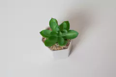 MACETA HEXAGONAL "SUCULENTA" BLANCA CON PLANTA ARTIFICIAL - comprar online