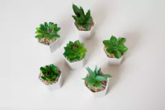 MACETA HEXAGONAL "SUCULENTA" BLANCA CON PLANTA ARTIFICIAL - comprar online