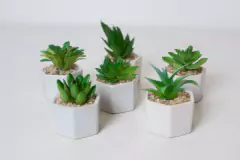 MACETA HEXAGONAL "SUCULENTA" BLANCA CON PLANTA ARTIFICIAL