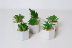 MACETA HEXAGONAL "SUCULENTA" BLANCA CON PLANTA ARTIFICIAL en internet