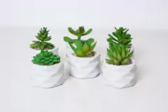 Imagen de MACETA ROMBOS "SUCULENTA" BLANCA CON PLANTA ARTIFICIAL