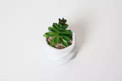 MACETA ROMBOS "SUCULENTA" BLANCA CON PLANTA ARTIFICIAL en internet