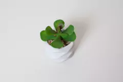 MACETA ROMBOS "SUCULENTA" BLANCA CON PLANTA ARTIFICIAL - tienda online