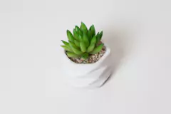 Imagen de MACETA ROMBOS "SUCULENTA" BLANCA CON PLANTA ARTIFICIAL