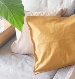 Imagen de ALMOHADON CON FUNDA TUSOR Y RELLENO 50x50 cm