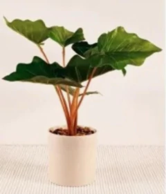 PLANTA ARTIFICIAL "JULY" CON HOJAS MONSTERA Y MACETA BLANCA - tienda online