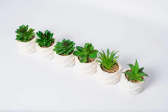 MACETA ROMBOS "SUCULENTA" BLANCA CON PLANTA ARTIFICIAL en internet