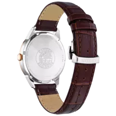Reloj Citizen Rolan AW0096-06L en internet