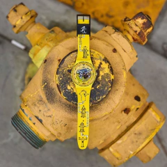 Reloj Swatch Edición Especial Diseñada por el Skateboarder Andy Anderson - SO29J101 - comprar online