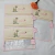 comprar-kit-saquinho-maternidade-personalizado-dinossauro-menina