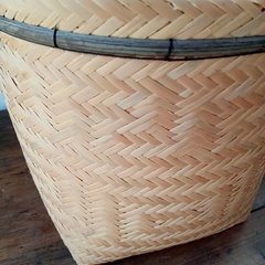 Urutu 25Cm