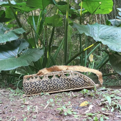 Jamaxi P - comprar online