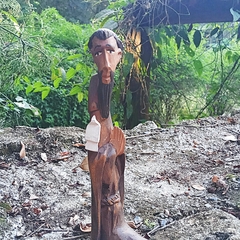 São Francisco Sentado na internet