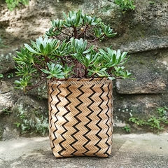 Cesto Tikuna Cru/Preto 30Cm Alt