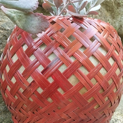 Cesto Com Cuia Vermelho - comprar online