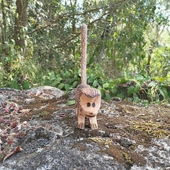 Imagem do Macaco Ms
