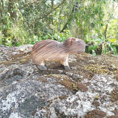 Capivara Ms - loja online