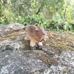 Imagem do Capivara Ms