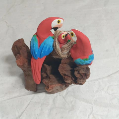 Casal Arara Vermelha Ms na internet