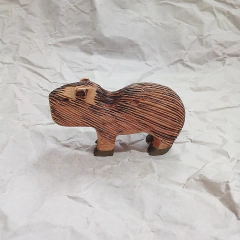 Capivara Ms