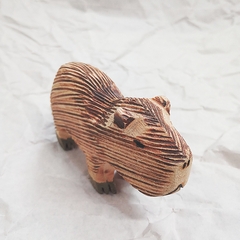 Capivara Ms na internet