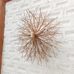 Divino Mestre Abias 60cm dia - comprar online