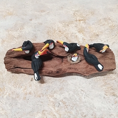6 Tucanos Tronco MS - Sambaki Brasil