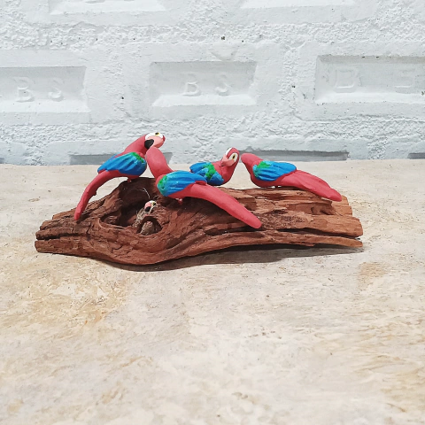 4 Araras Vermelhas Galho MS - comprar online