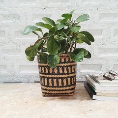 Cachepot Urutu 20Cm Alt